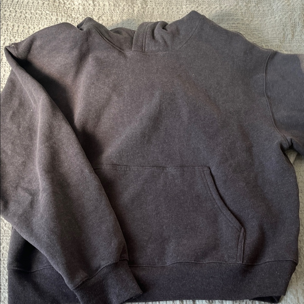 Aritzia Sweatfleece Hoodie